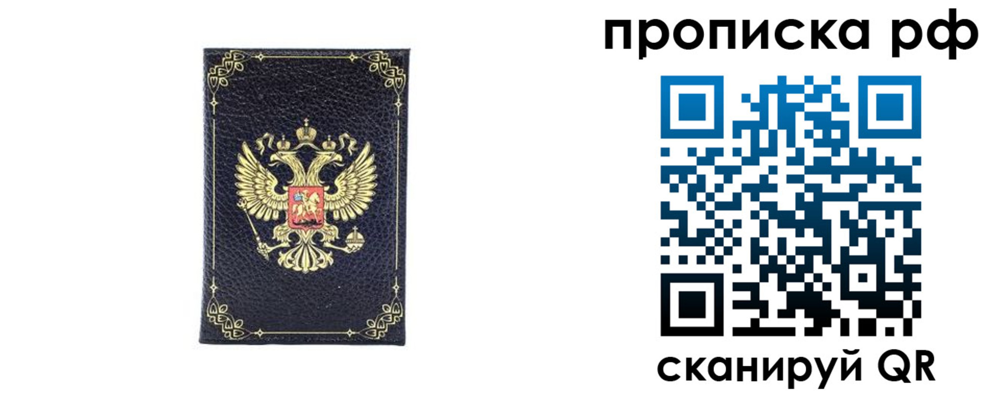 прописка для школы в Покрове